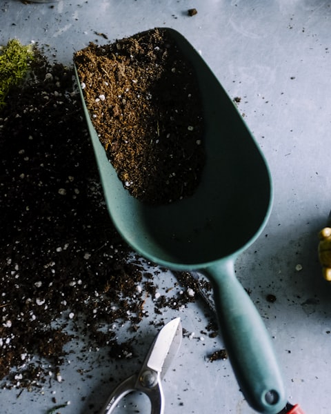 Gardening