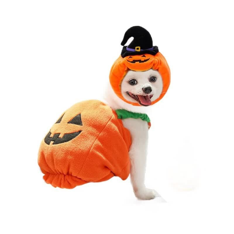 Halloween Pet Dog Cat Costume