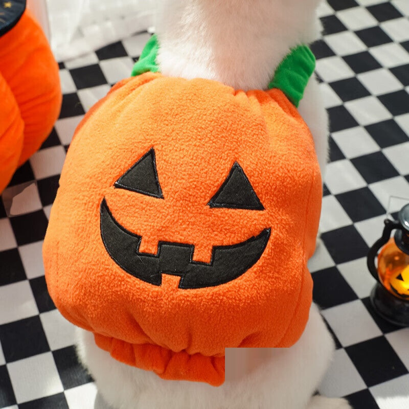 Halloween Pet Dog Cat Costume