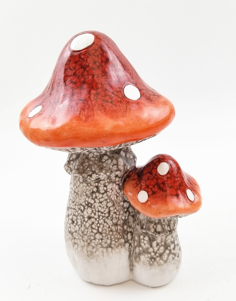 Large & Small Mushrooms