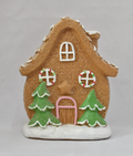 Small Mushroom Gingerbread House