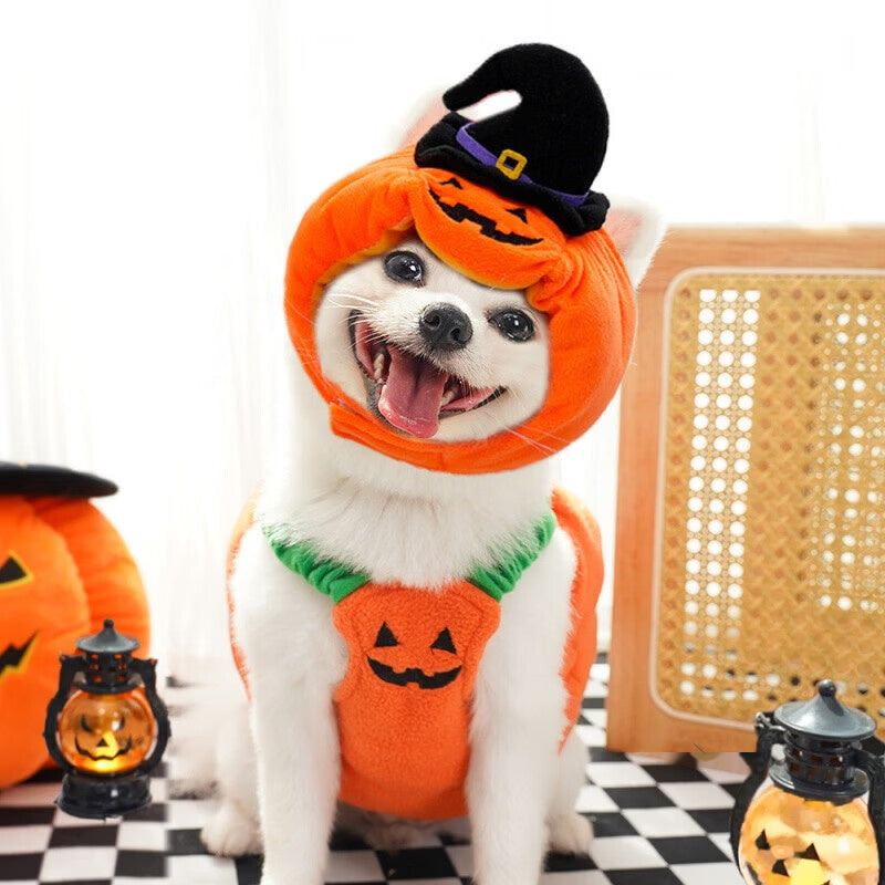 Halloween Pet Dog Cat Costume