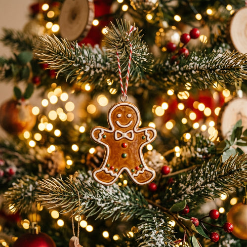 Promotional view of AZ028 - gingerbread boy lifestyle