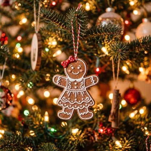 Promotional view of AZ029 - gingerbread girl main